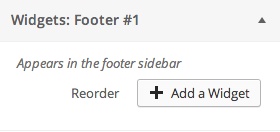 Widget Footer